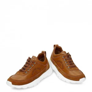 Jensen^Panama Jack Sale