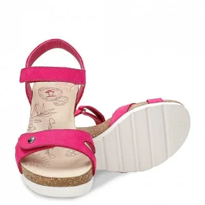 Julia^Panama Jack Cheap