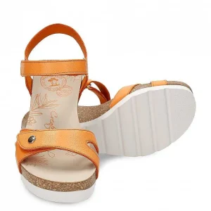 Julia^Panama Jack Shop