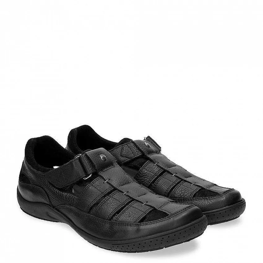 meridian_2.webp Meridian^Panama Jack Store