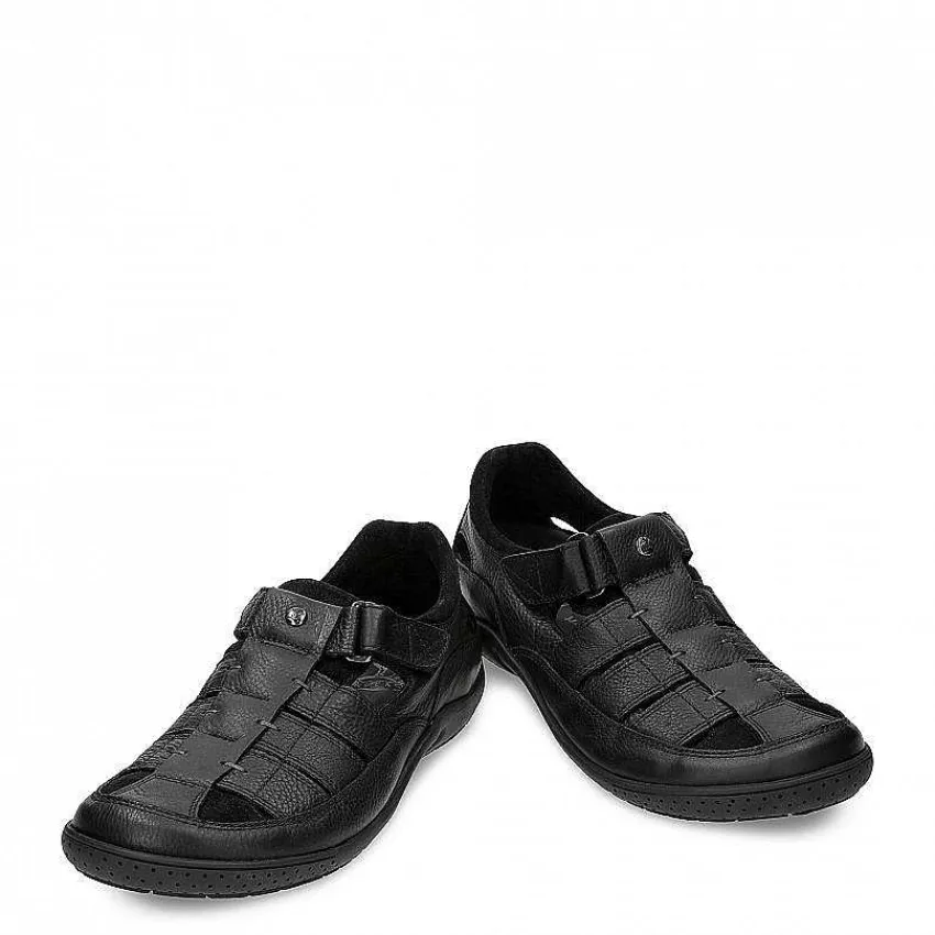 meridian_5.webp Meridian^Panama Jack Store