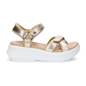 Newel Shine^Panama Jack Online