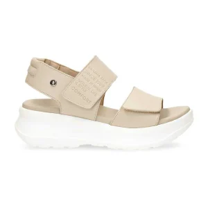 Noah^Panama Jack Store