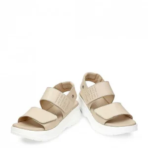 Noah^Panama Jack Store