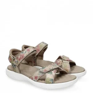 Noja Tropical^Panama Jack Shop