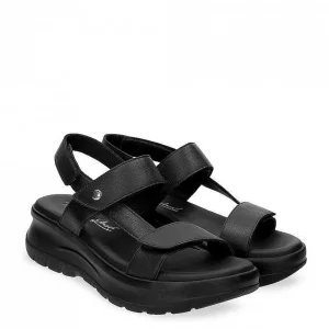 Noor^Panama Jack Shop