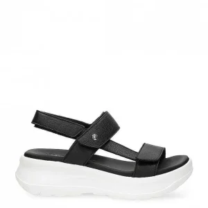 Noor^Panama Jack Flash Sale