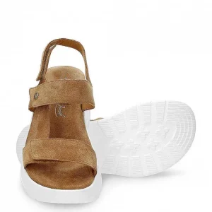 Noor^Panama Jack Sale