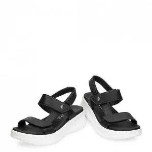 Noor^Panama Jack Store