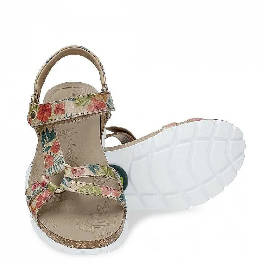 sally_tropical_0-1.webp Sally Tropical^Panama Jack Cheap