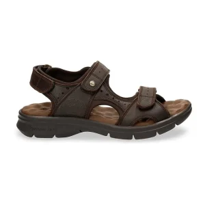 Salton^Panama Jack Fashion