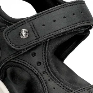 Salton^Panama Jack Flash Sale