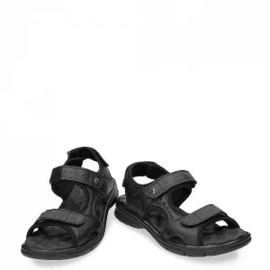 Salton^Panama Jack Fashion