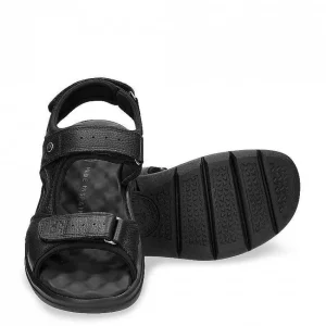 Salton^Panama Jack Fashion