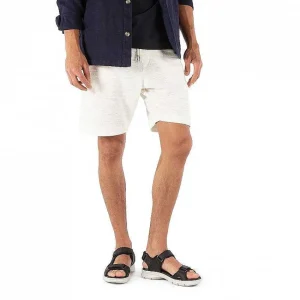Salton^Panama Jack Flash Sale