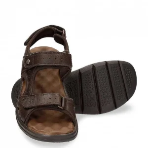 Salton^Panama Jack Fashion