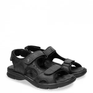 Salton^Panama Jack Best Sale