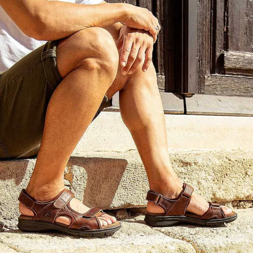 salton_basics_1-1.webp Salton Basics^Panama Jack Best Sale