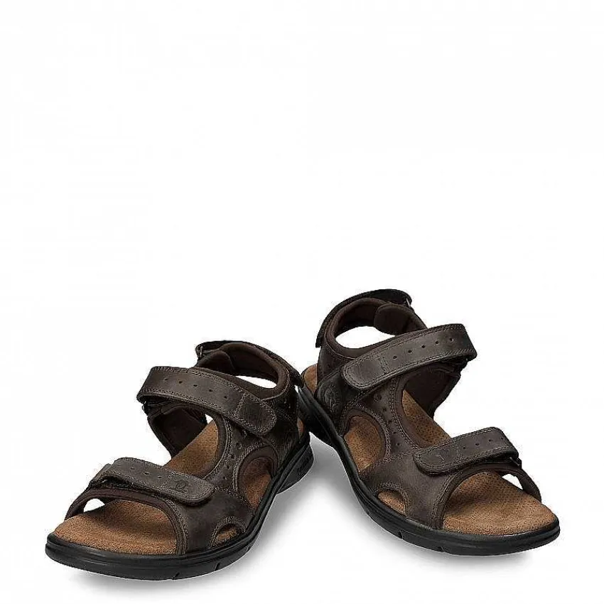 salton_basics_1-2.webp Salton Basics^Panama Jack Sale
