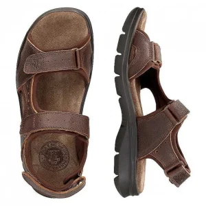 Salton Basics^Panama Jack Best Sale