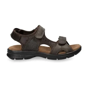 Salton Basics^Panama Jack Sale