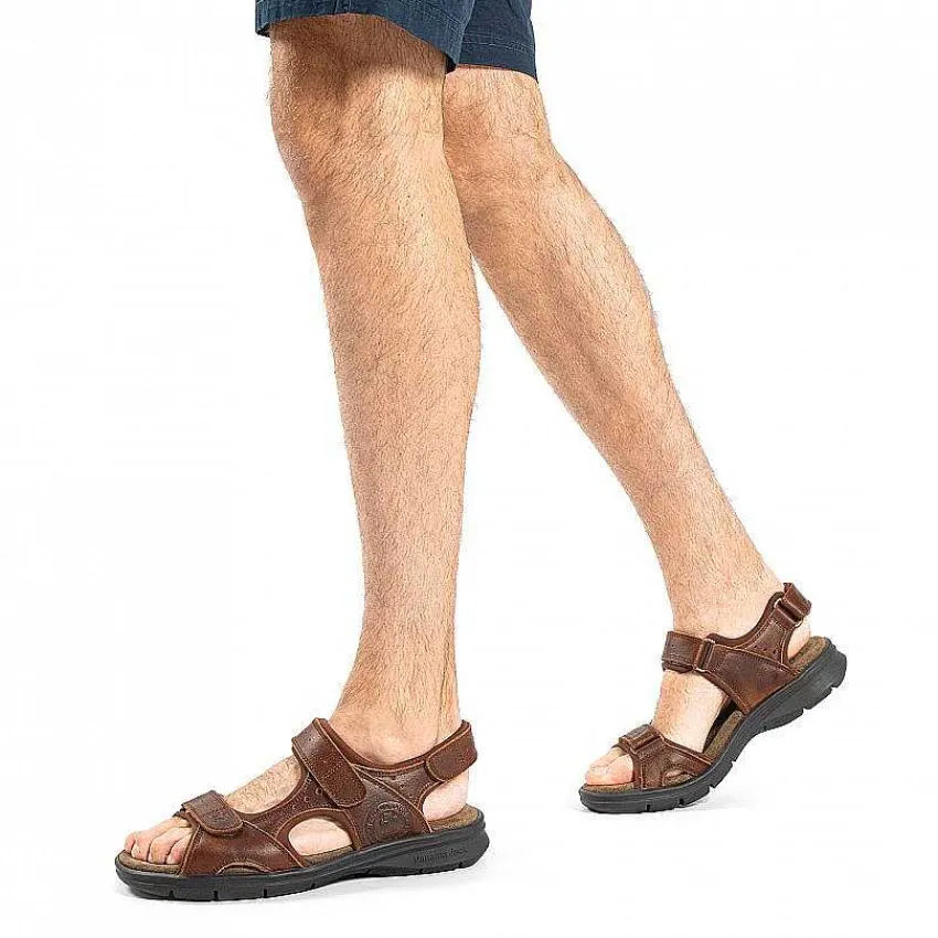 salton_basics_6.webp Salton Basics^Panama Jack Best Sale
