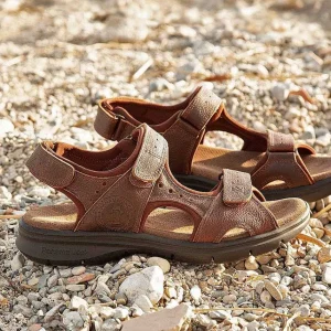 Salton Basics^Panama Jack Best Sale