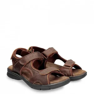 Salton Basics^Panama Jack Best Sale