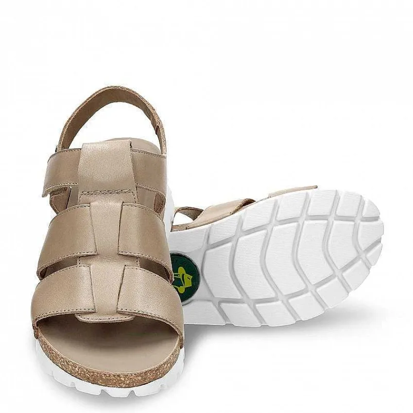 sammy_0-7.webp Sammy^Panama Jack Fashion