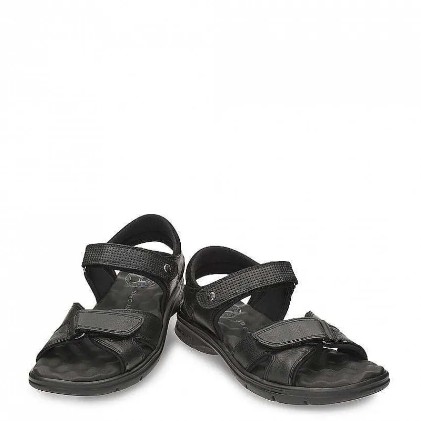sanders_0-2.webp Sanders^Panama Jack Cheap