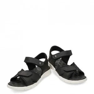 Sanders^Panama Jack Online