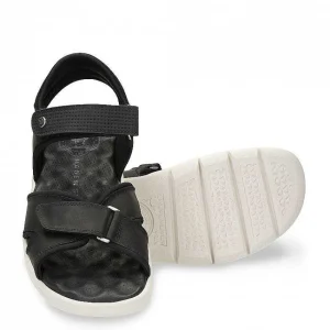 Sanders^Panama Jack Online