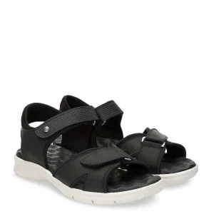 Sanders^Panama Jack Online