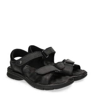 Sanders^Panama Jack Cheap