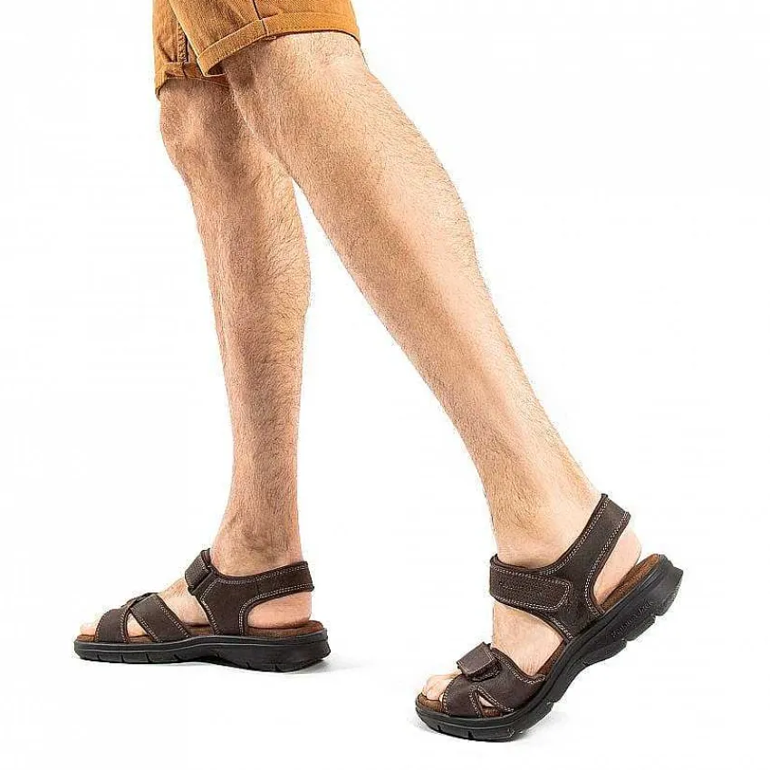 sanders_basics_0-2.webp Sanders Basics^Panama Jack Shop