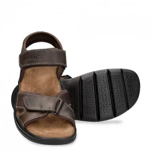 Sanders Basics^Panama Jack Shop
