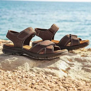 Sanders Basics^Panama Jack Shop