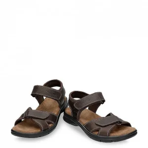 Sanders Basics^Panama Jack Flash Sale
