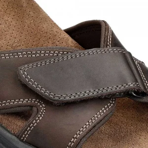 Sanders Basics^Panama Jack Shop