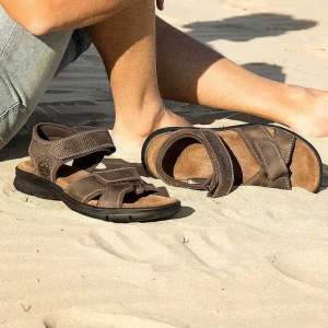 Sanders Basics^Panama Jack Flash Sale