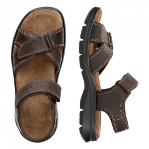 Sanders Basics^Panama Jack Shop