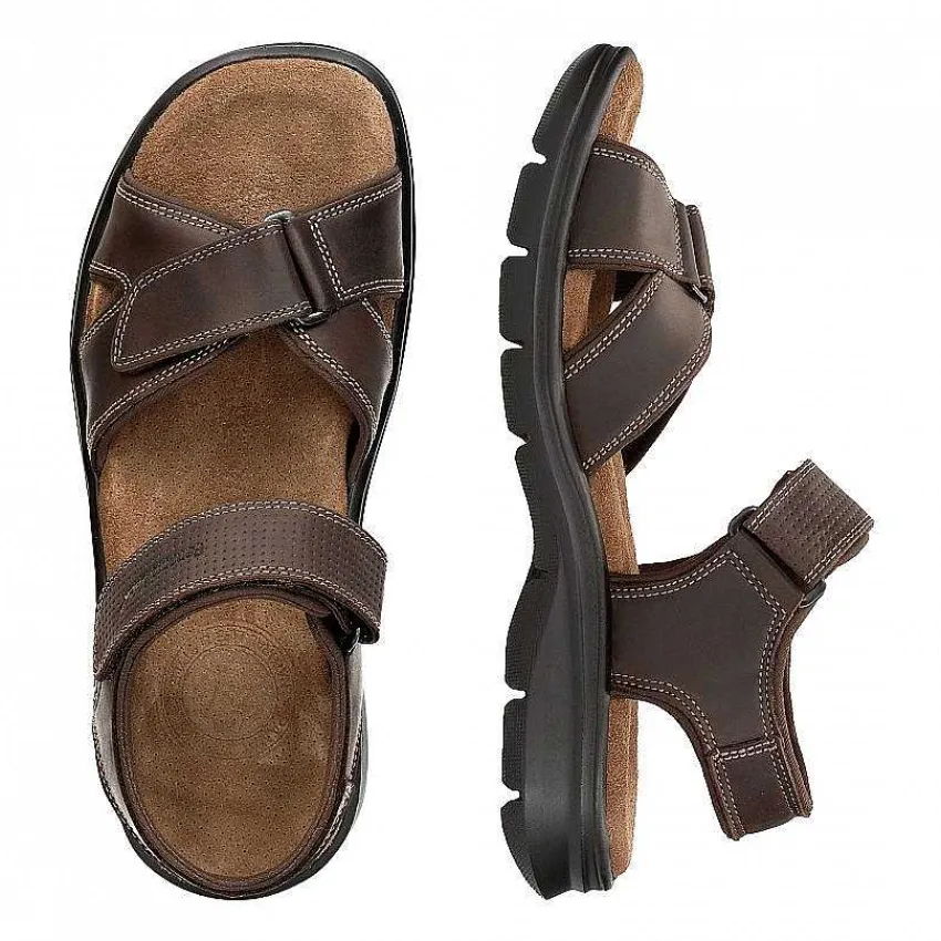 sanders_basics_7-2.webp Sanders Basics^Panama Jack Shop