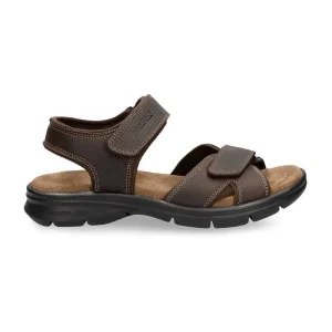 Sanders Basics^Panama Jack Flash Sale