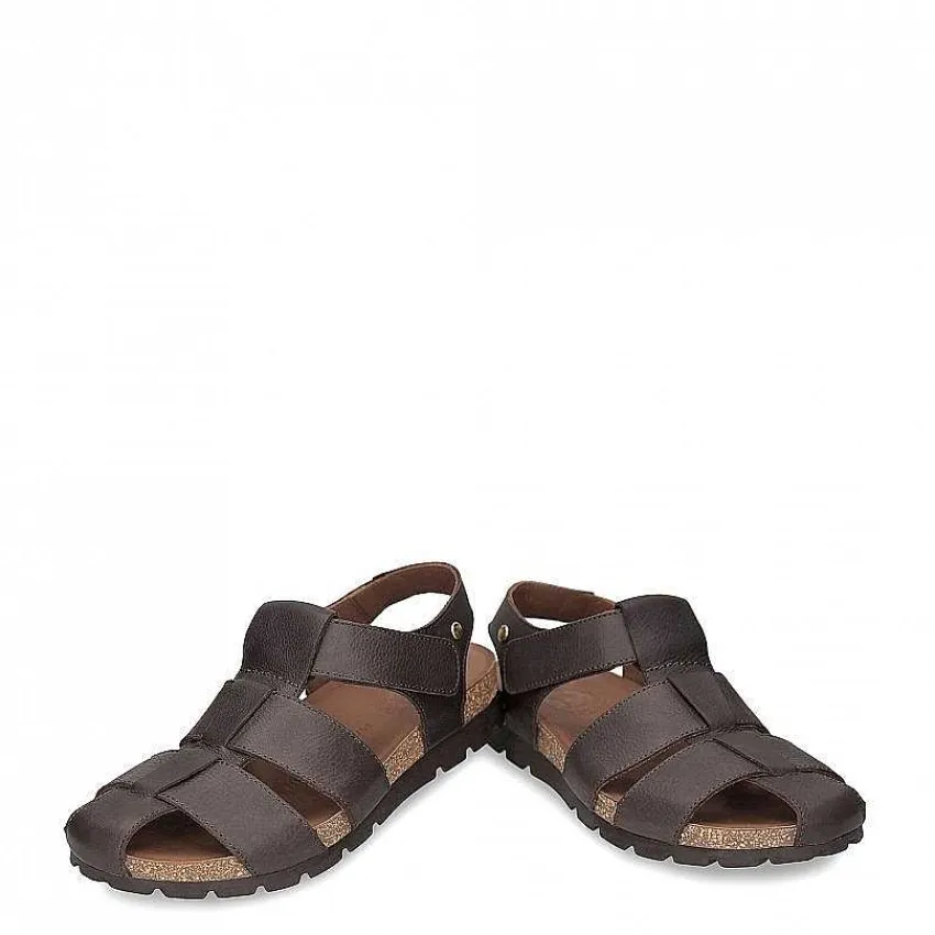 stanley_0-1.webp Stanley^Panama Jack Store