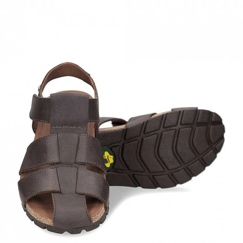 stanley_4.webp Stanley^Panama Jack Store