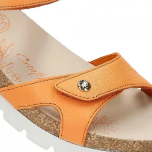 Sulia^Panama Jack Cheap