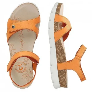 Sulia^Panama Jack Cheap